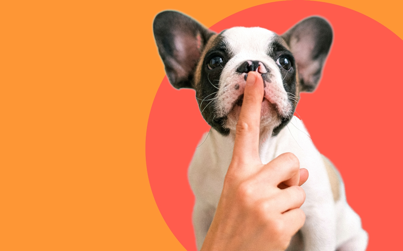 Affiche de prévention pour enregistrer vos mots de passe